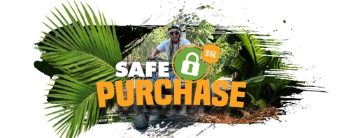 Safe Purchase Baaxal Kin Tours